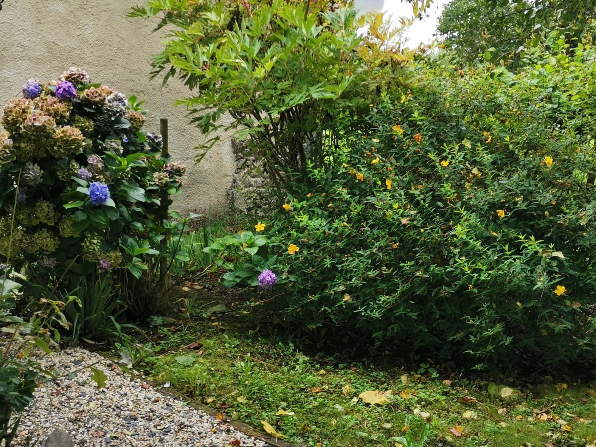 Les Brassins Du Dillon Villa Moyon Eksteriør bilde
