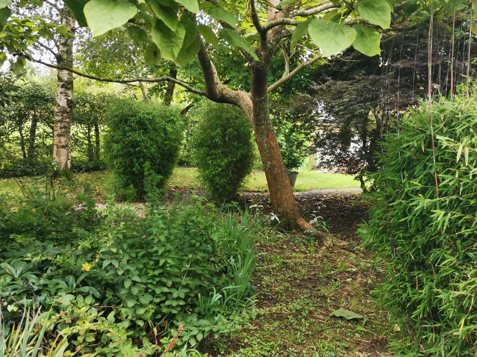 Les Brassins Du Dillon Villa Moyon Eksteriør bilde